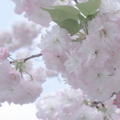 南平FurryQQ群介绍